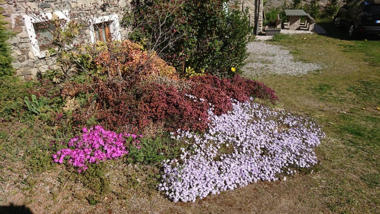 Villa Casa Delle Rose Teglio Exterior foto